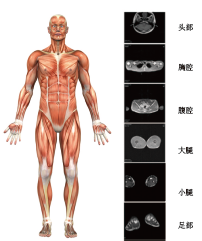 BE-1B實用型人體成分分析儀